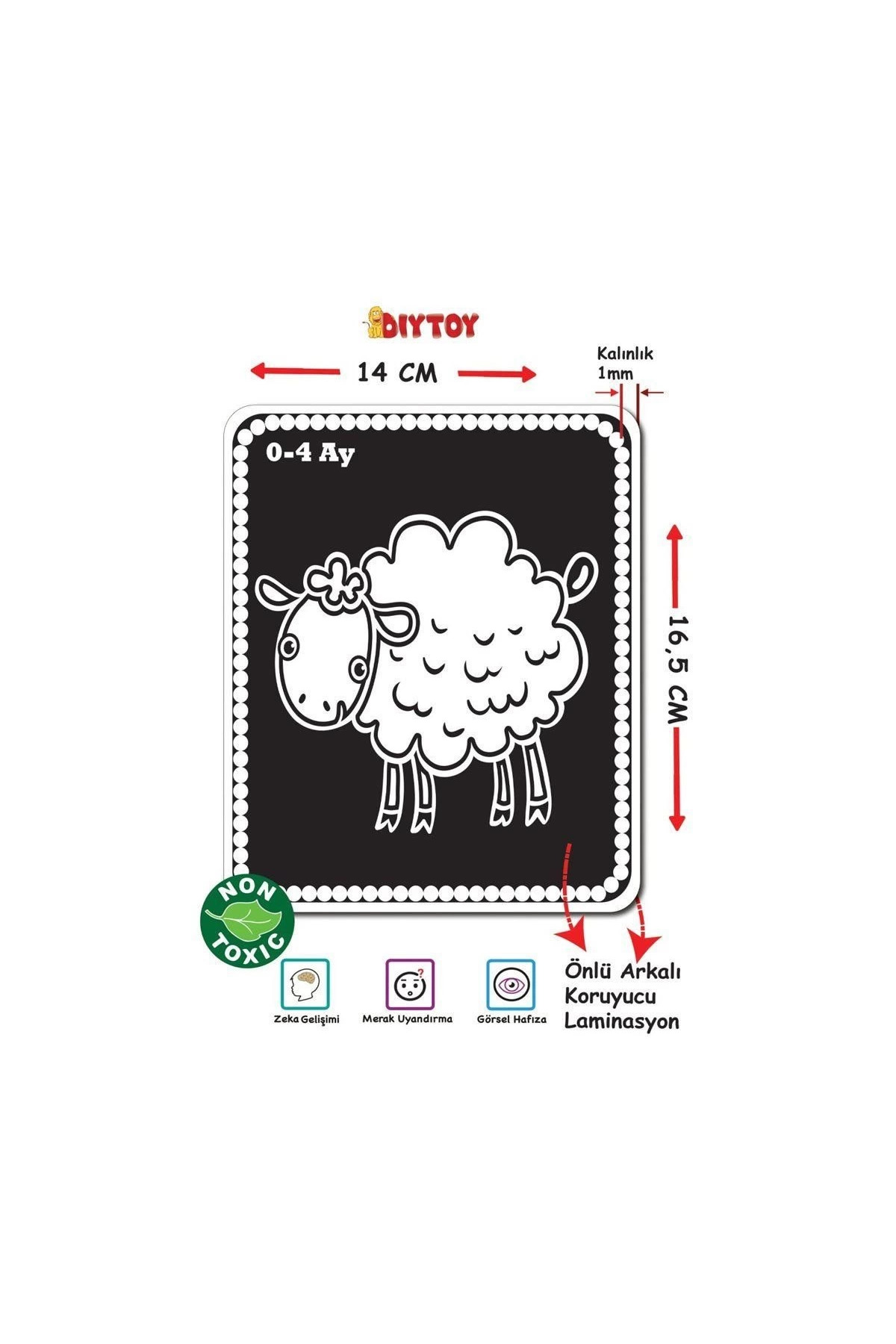 کارت‌های فلش ۱۳۶۹: کارت‌های اولین هوش نوزاد من – دییتوی