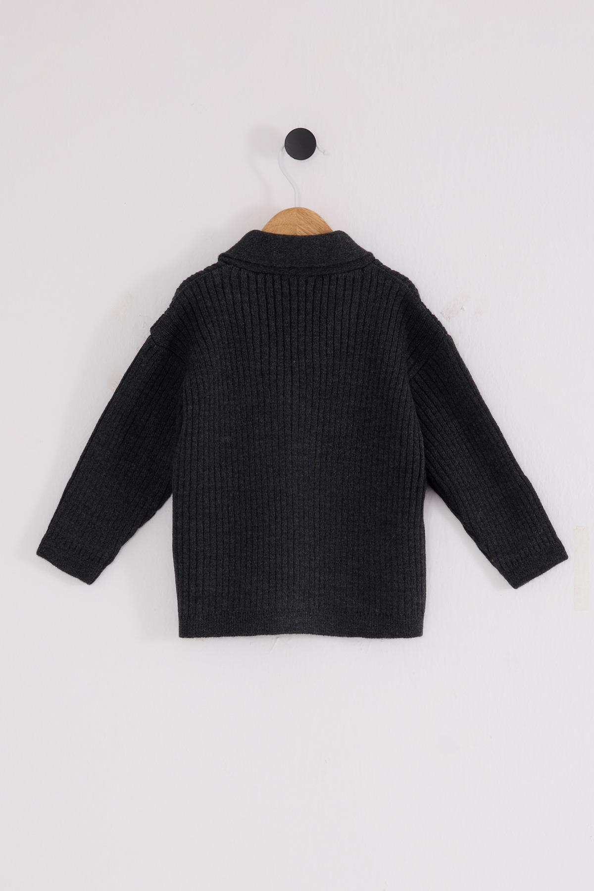 U.S. Polo Assn. Erkek Bebek Triko Hırka fotoğrafı 3 (önizleme)