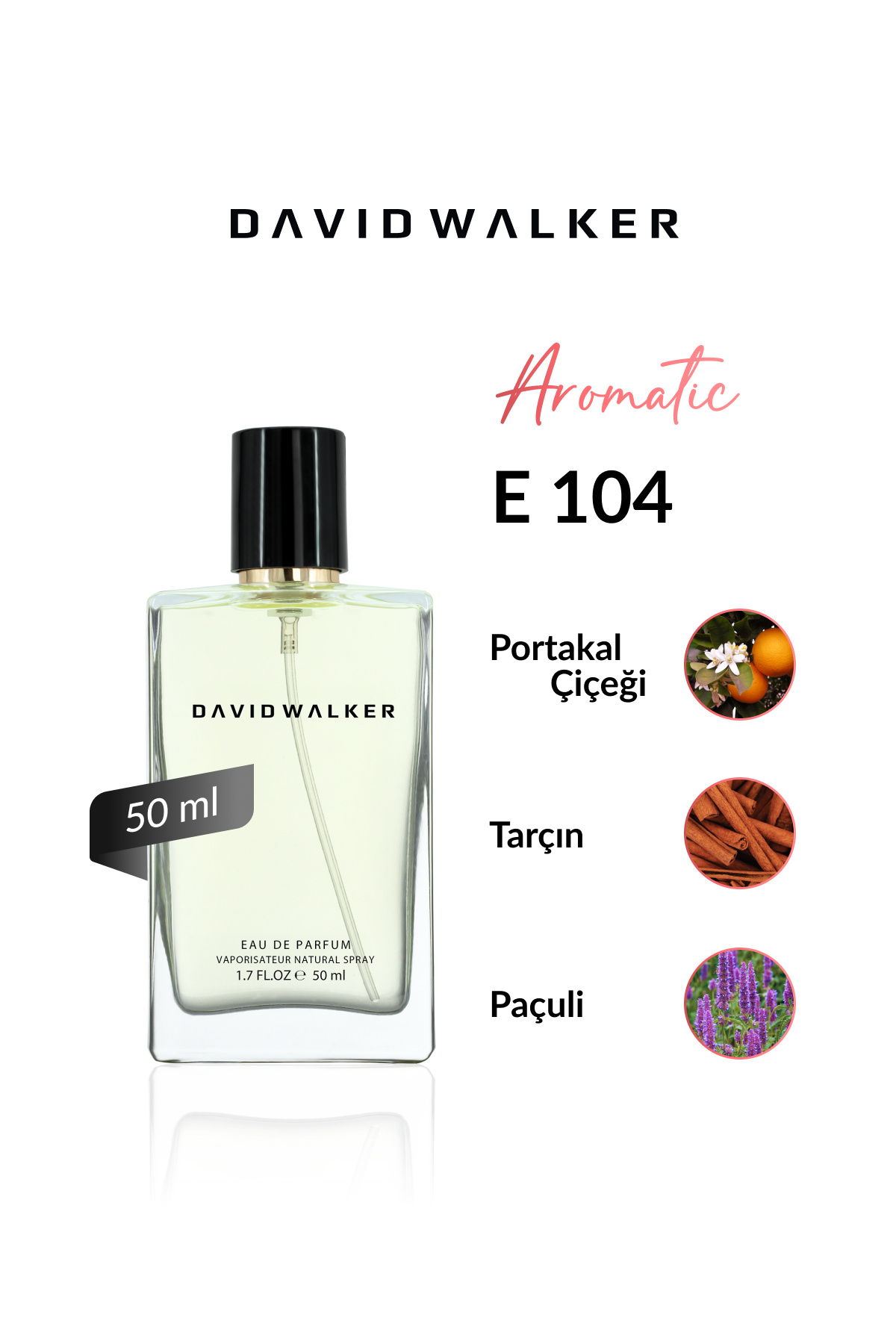 دیوید واکر E104 Harbor 50 ml عطر مردانه 
