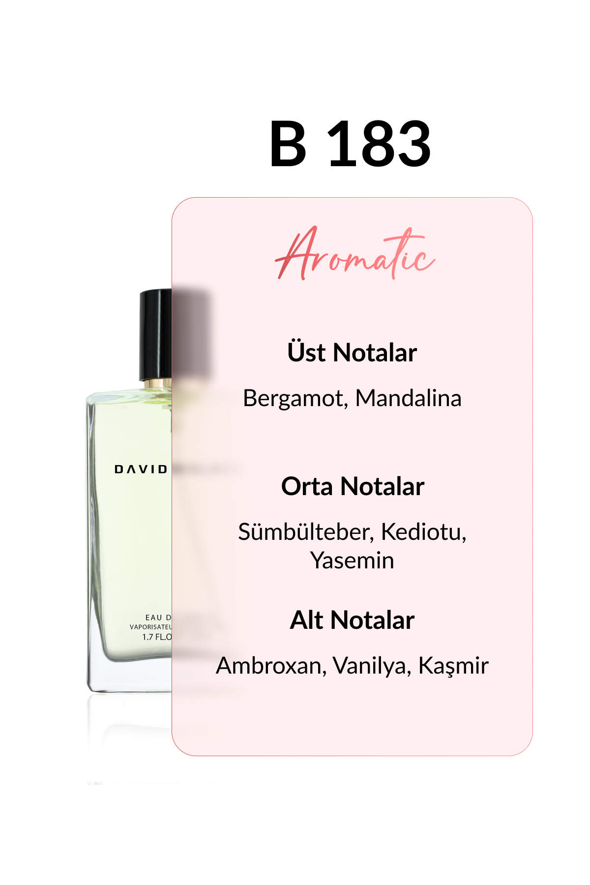 عطر زنانه | دیوید واکر David Walker B-183 DW 50 - تصویر 2