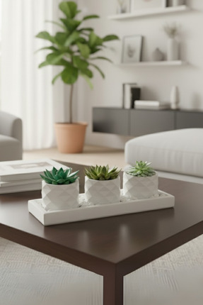 decoronay 3’lü Sukulent Saksı Seti (Dolomit taşı Dahildir,Bitkiler Dahil Deği...