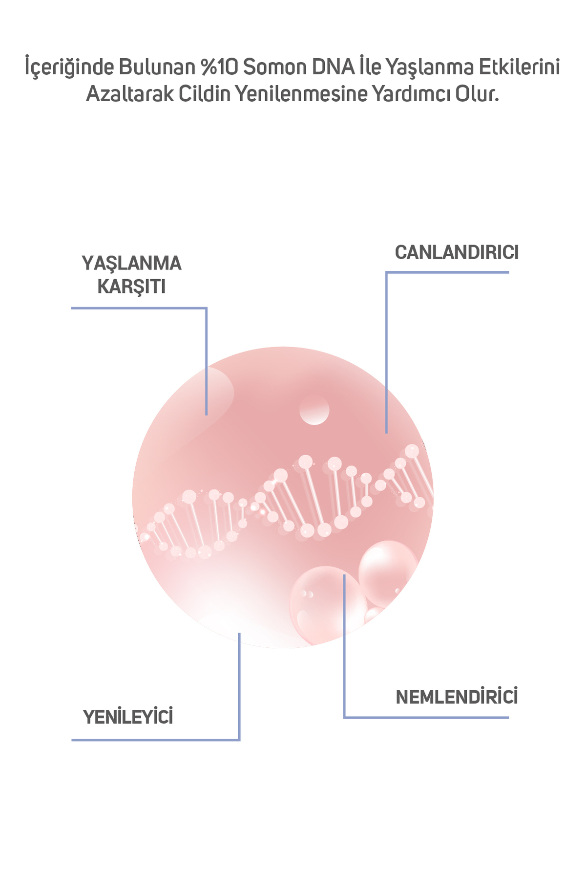 Somon Dna %10 Içeren Yaşlanma Karşıtı Yenileyici Meso Serum 6 ml X 10 Adet — 8684209792298 — تصویر 3 از 6