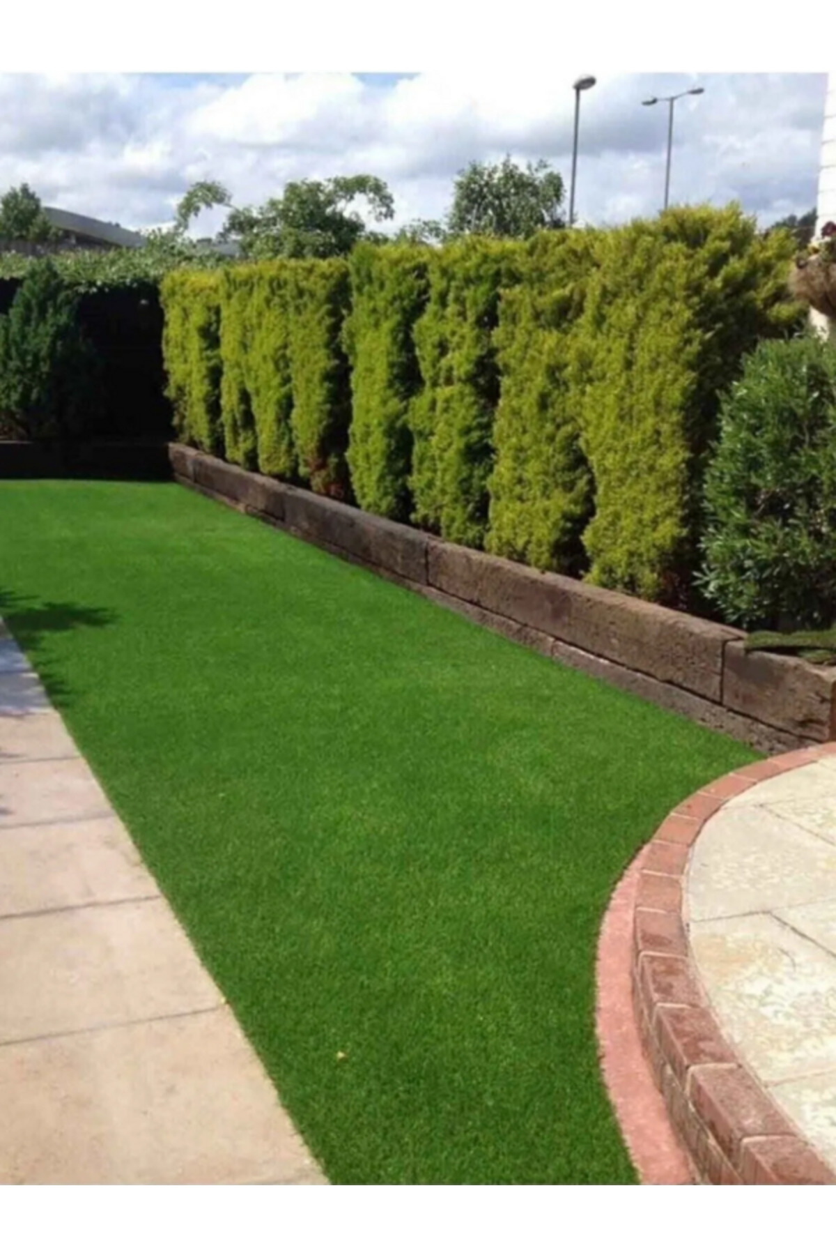 Exclusive 6-Piece Blend Grass Seed Print Resistant Excellent Appearance 1 Kg
