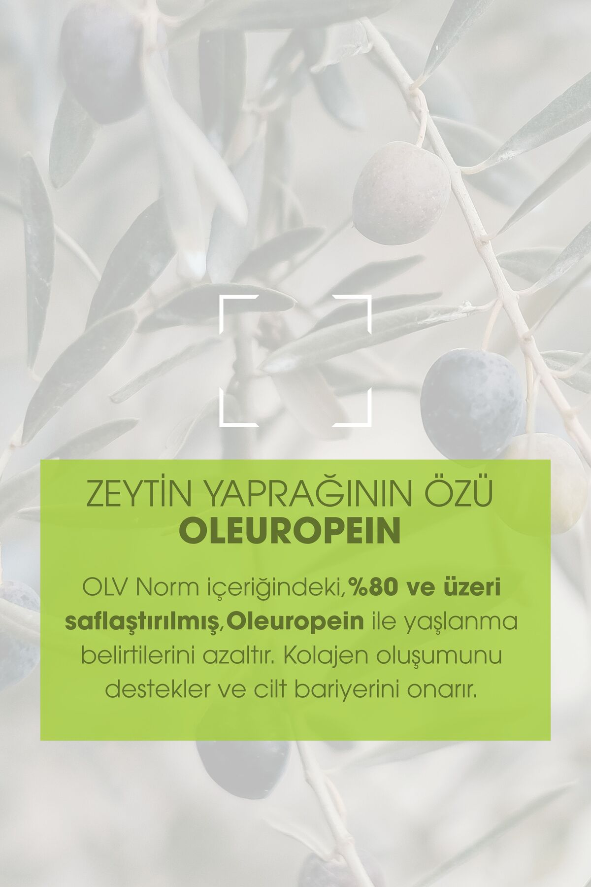 Norm Ayak Ve Topuk Çatlak Bakım Krem 100 ml — TYCE0632B14CAC6500 — تصویر 3 از 8