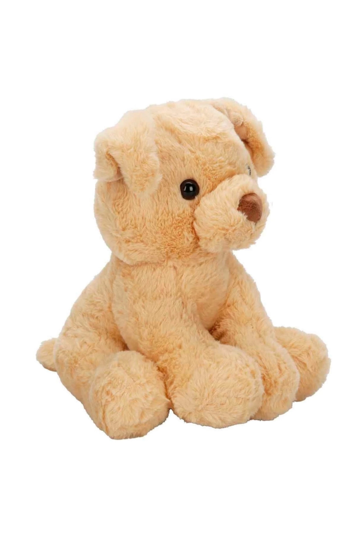 سگ پشمالوی بامزه ۳۲ سانتی‌متری