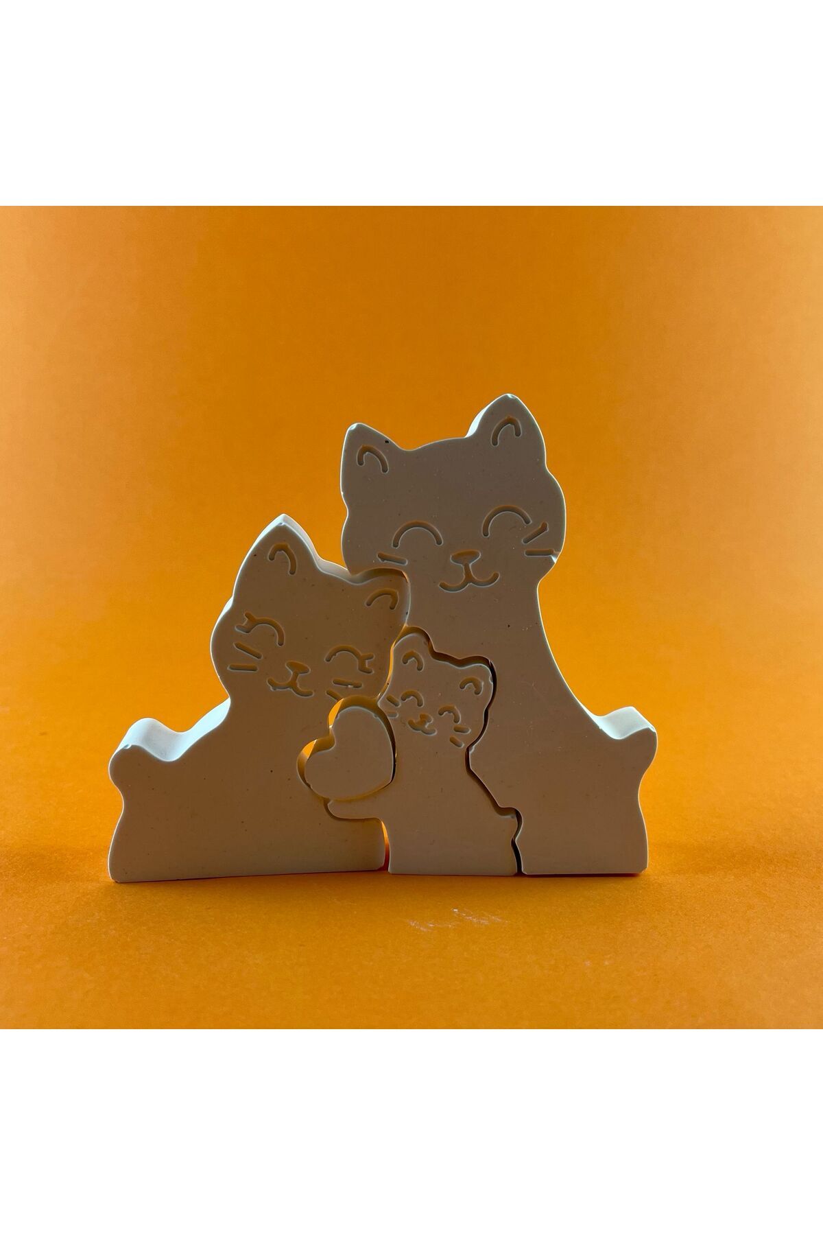 BEMİSA Kedi Ailesi Çocuklar İçin Eğitici Boyama Seti