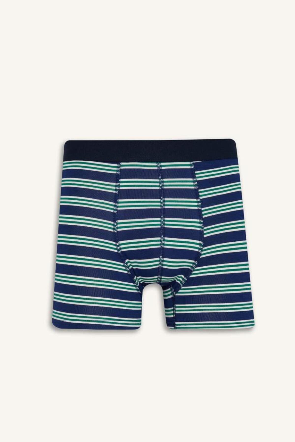 DeFacto Regular Fit Pamuklu Çizgili 3'lü Boxer E0123AX25AU görsel 2