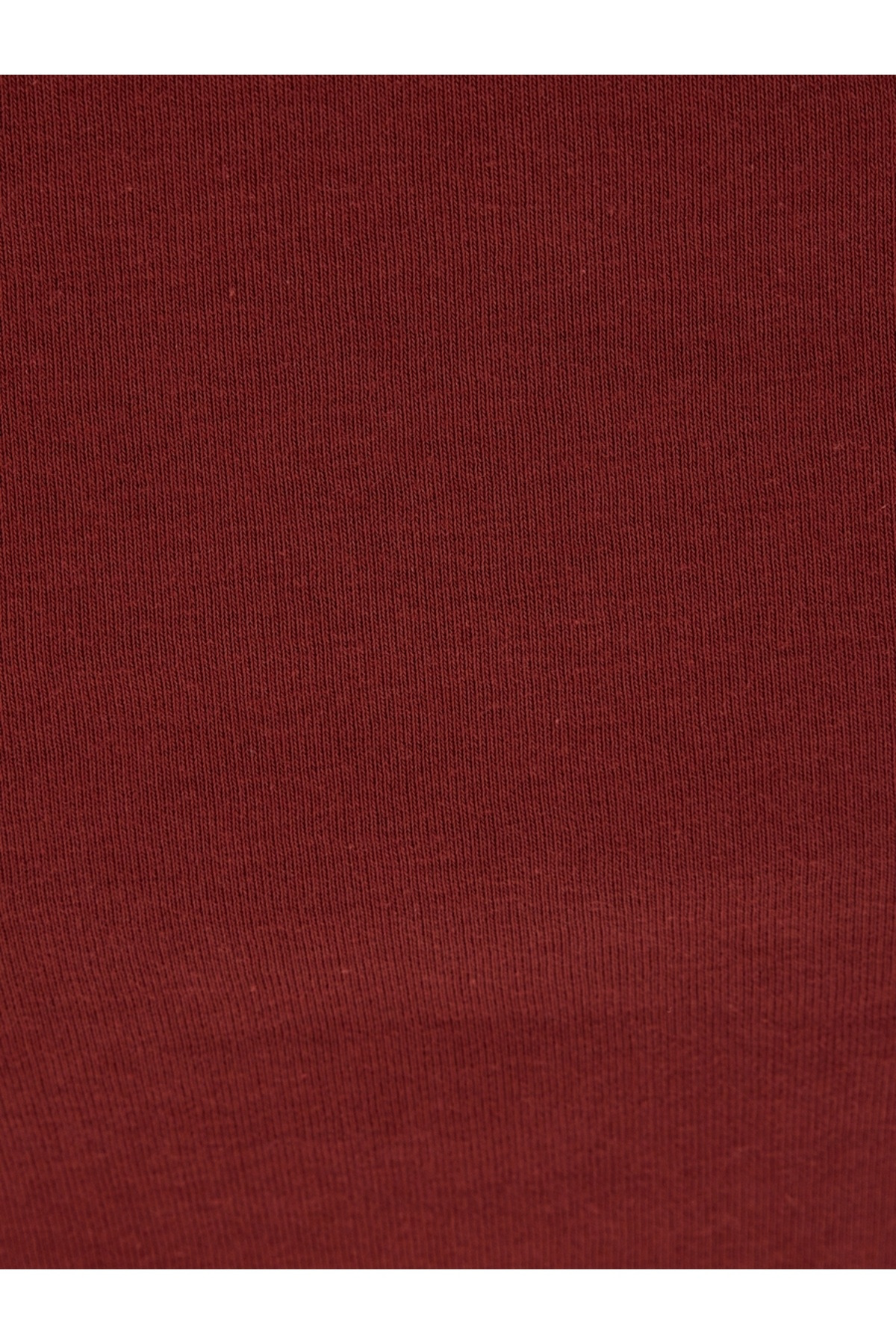 Regular Fit Erkek Sweatshirt — نارنجی LF2041184_Q1.V1 — تصویر 6 از 6