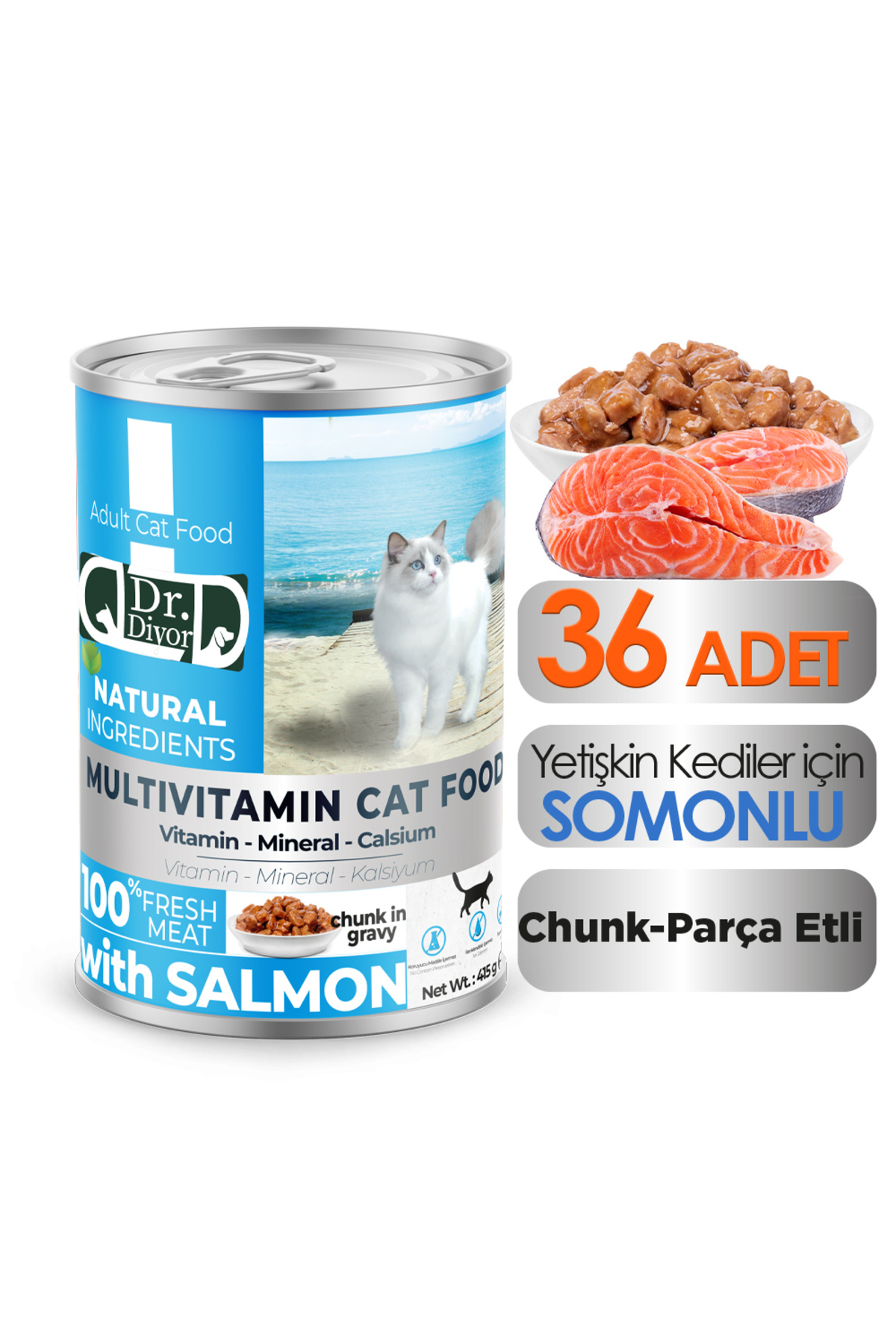 DR.DİYOR Dr. Diyor somonlu yetişkin kedi maması 36 adet
