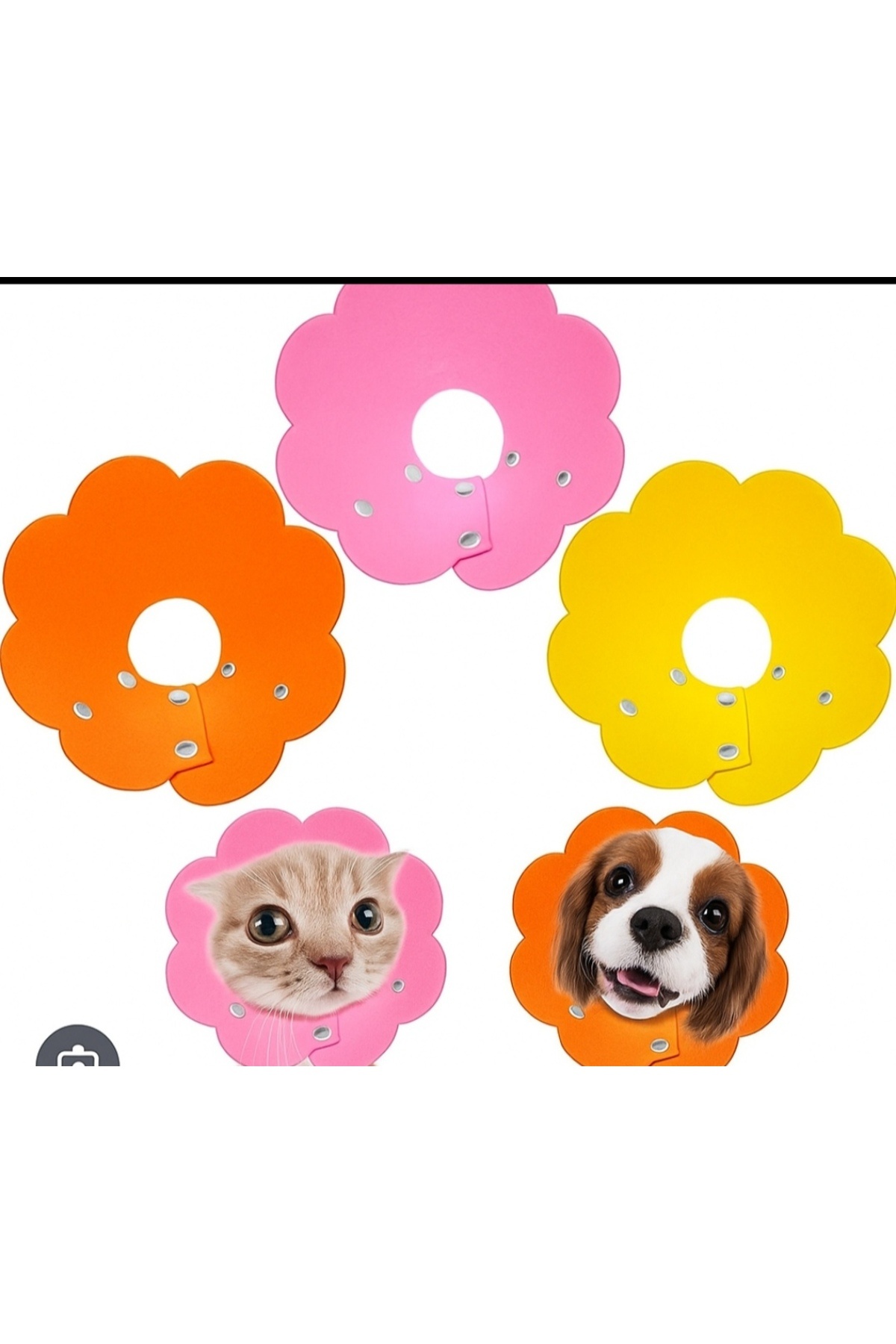 Markasız ucuz Kedi / Köpek yakalık yumuşak standart boy XS ve S ayarlanabilir