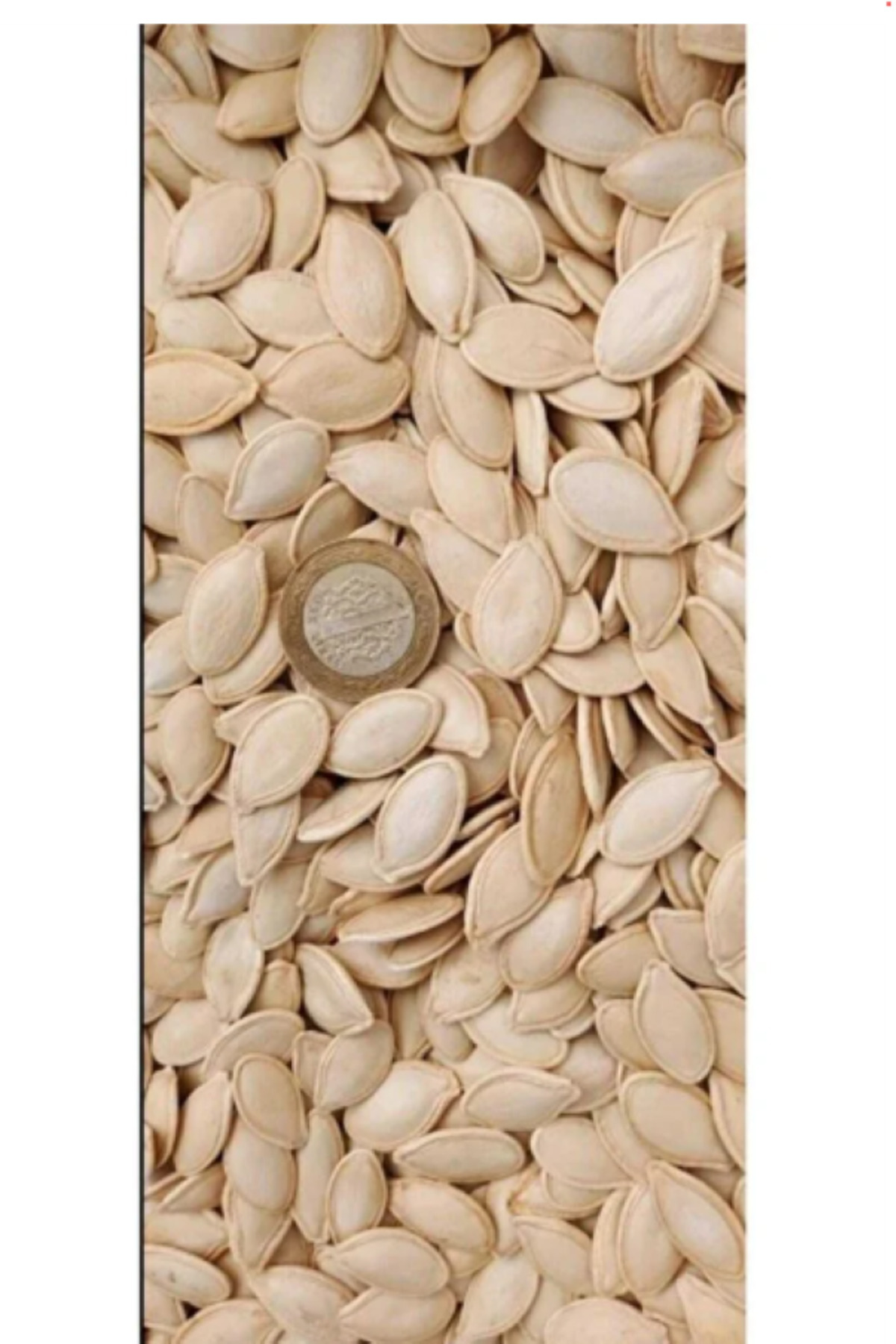 Milyon Shop nevşehir kabak çekirdeği dolgun 5 kg