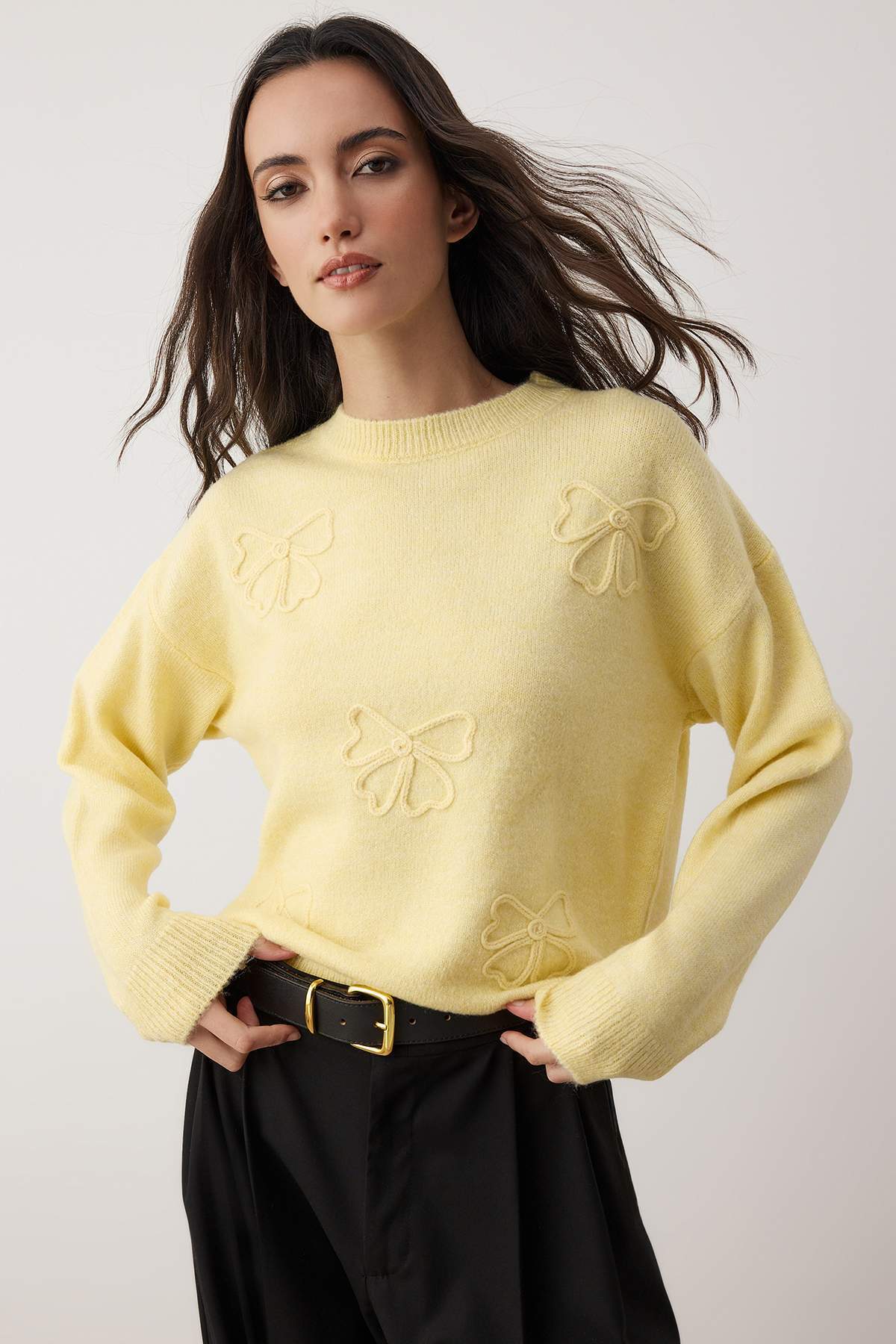 Trendyol Collection Light Yellow Soft Textured Ribbon Pattern Knitwear Sweater Twoaw26Kz00110
