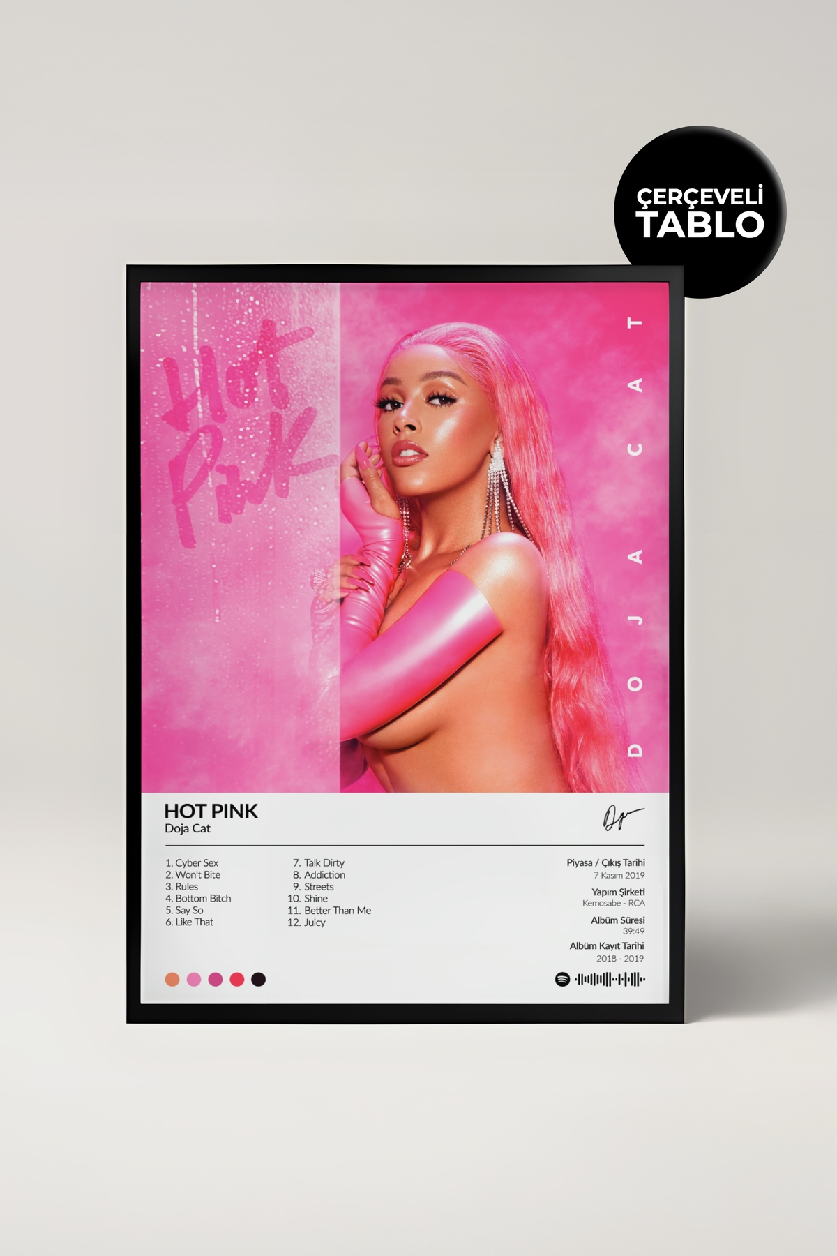 House Gorgeous Doja Cat Hot Pink Albümü Çerçeve Albüm Tasarımlı
