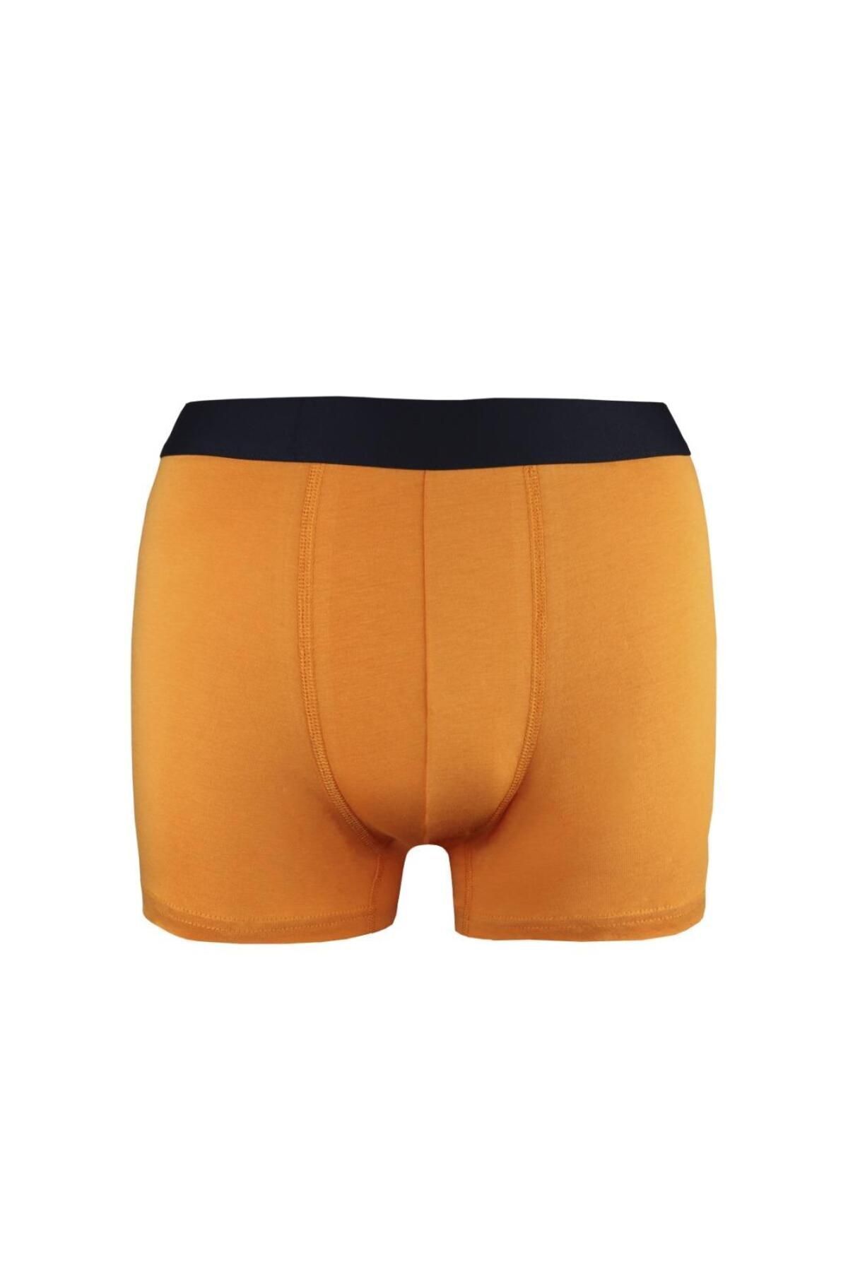 Alaturka Erkek Boxer Karışık Renk 3'lü Paket Set -bxr2000 MODEL-1 görsel 3