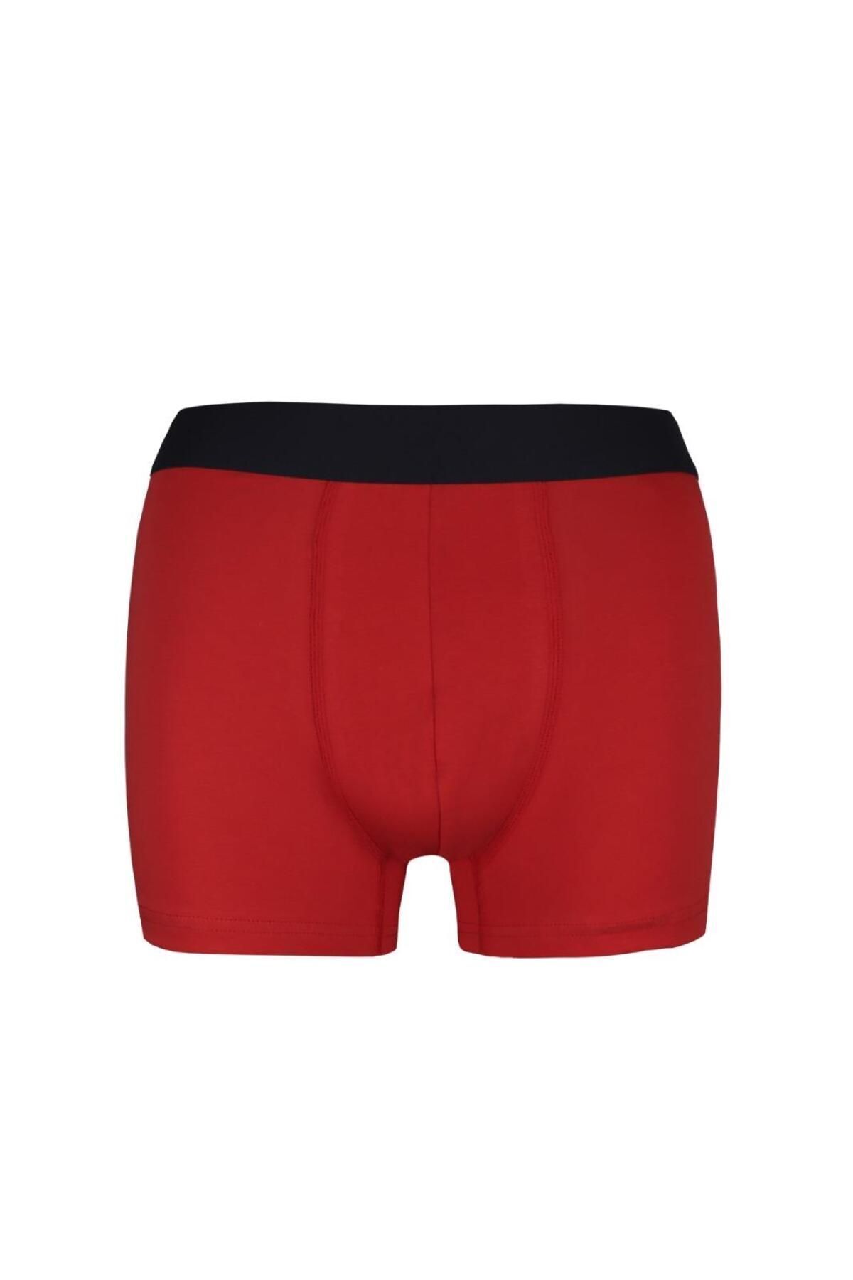 Alaturka Erkek Boxer Karışık Renk 3'lü Paket Set -bxr2000 MODEL-1 görsel 4