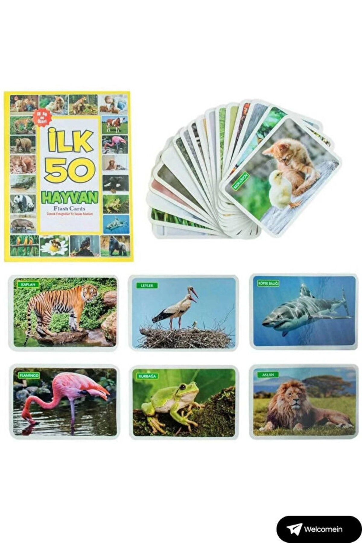 qussine Bebekler Için Zeka Kartları Eğitim Seti Eğitici Kartlar 2 Set Bir Arada fotoğrafı 2 (önizleme)