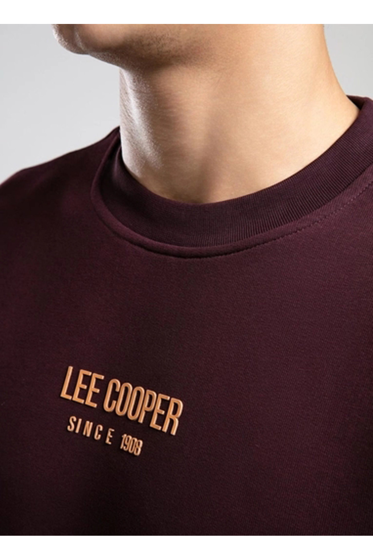 سویشرت مردانه چاپ دیجیتال آستین بلند | لی کوپر Lee Cooper 5003310864 - تصویر 3