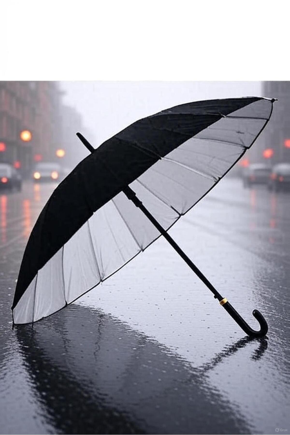 garaccu 16 Telli Dışı Siyah Içi Gümüş Renk Baston Şemsiye Unisex Şemsiye 80 Cm (100cm çap)