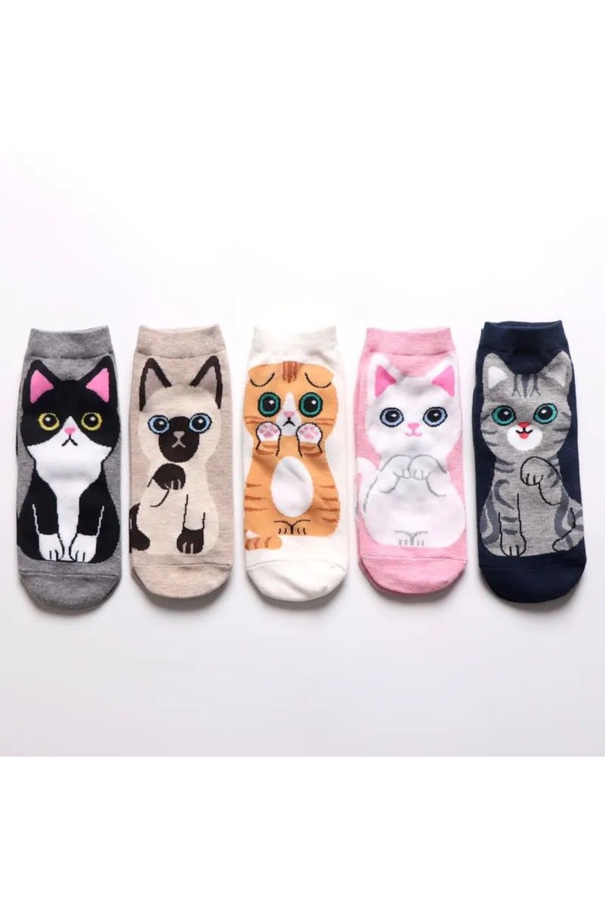 H&N Socks 5 çift Ekonomik Paket Kadın Kısa Patik Çorap Set görsel 2