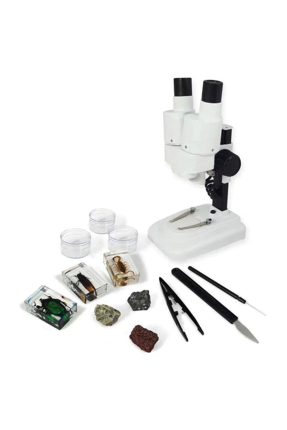 میکروسکوپ دوچشمی