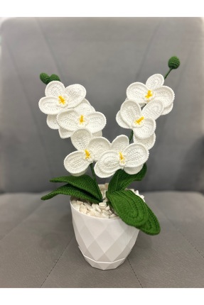 handmade bloom Orkide el yapımı örgü hediye