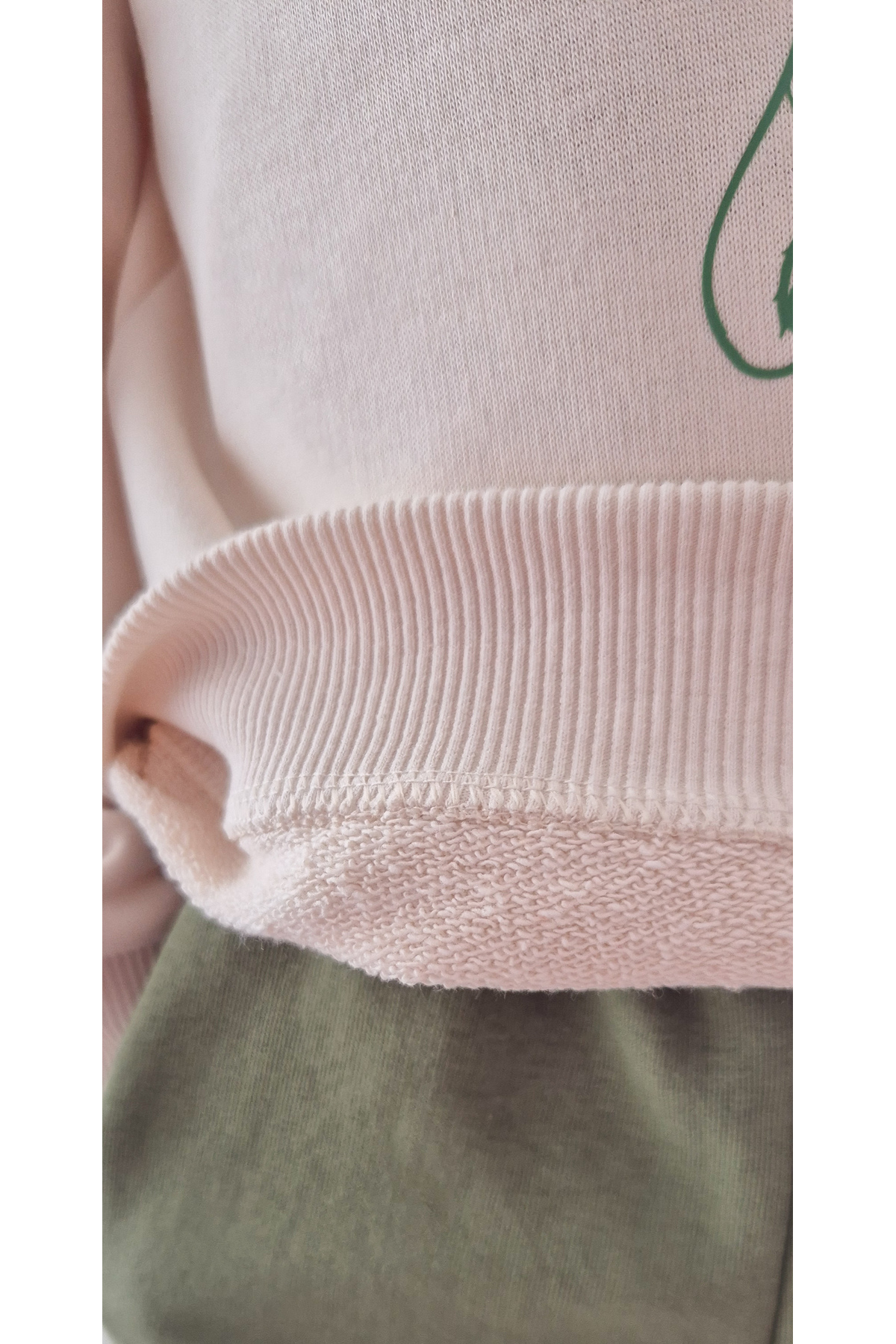 BALKABAĞI Fil Taş Rengi Sweatshirt Yeşil Eşofman Altı 2'li Takım TTYE0031 fotoğrafı 4 (önizleme)