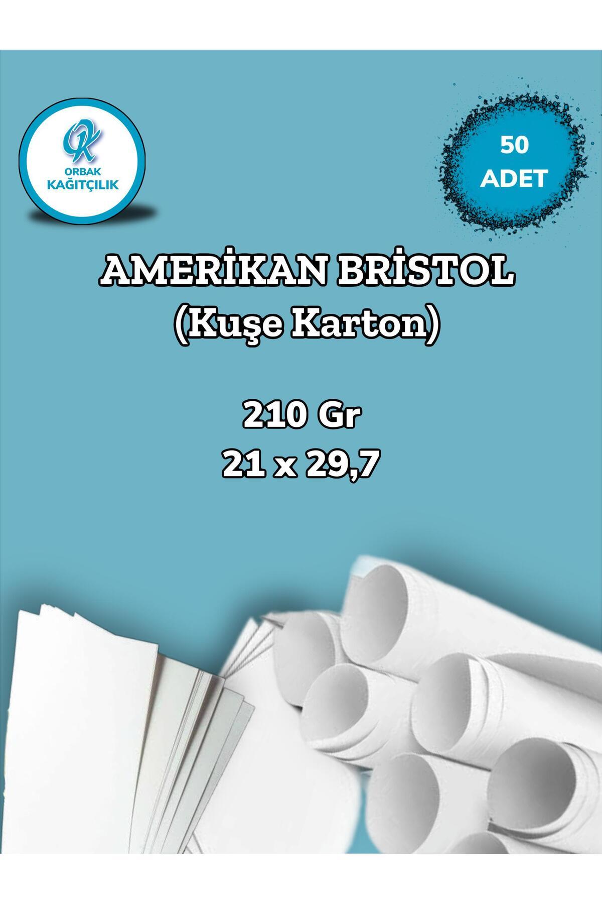 Orbak Kağıt 210 Gr. Amerikan Bristol Kağıt Karton 21x29,7 A4 Ebatında 50 Adet (0,65 KG)