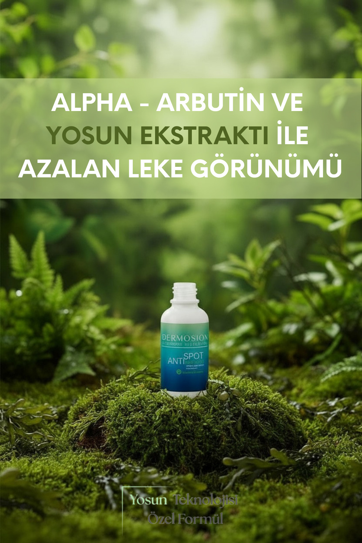 Leke Karşıtı Yosun Özlü Serum Alpha-Arbutin, Niasinamid, Besleyici Ve Ton Eşitleyici 30ml — 8684308448041 — تصویر 3 از 9