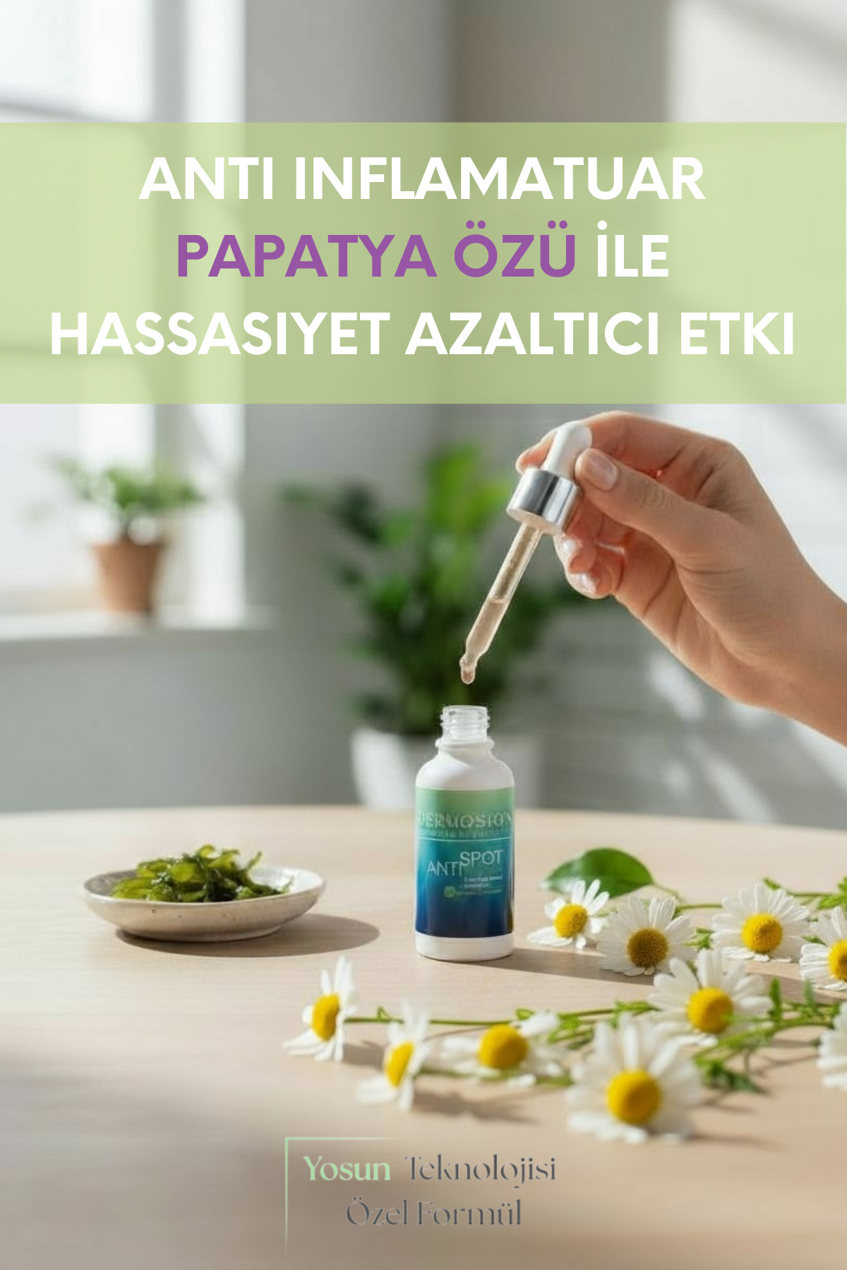 Leke Karşıtı Yosun Özlü Serum Alpha-Arbutin, Niasinamid, Besleyici Ve Ton Eşitleyici 30ml — 8684308448041 — تصویر 6 از 9