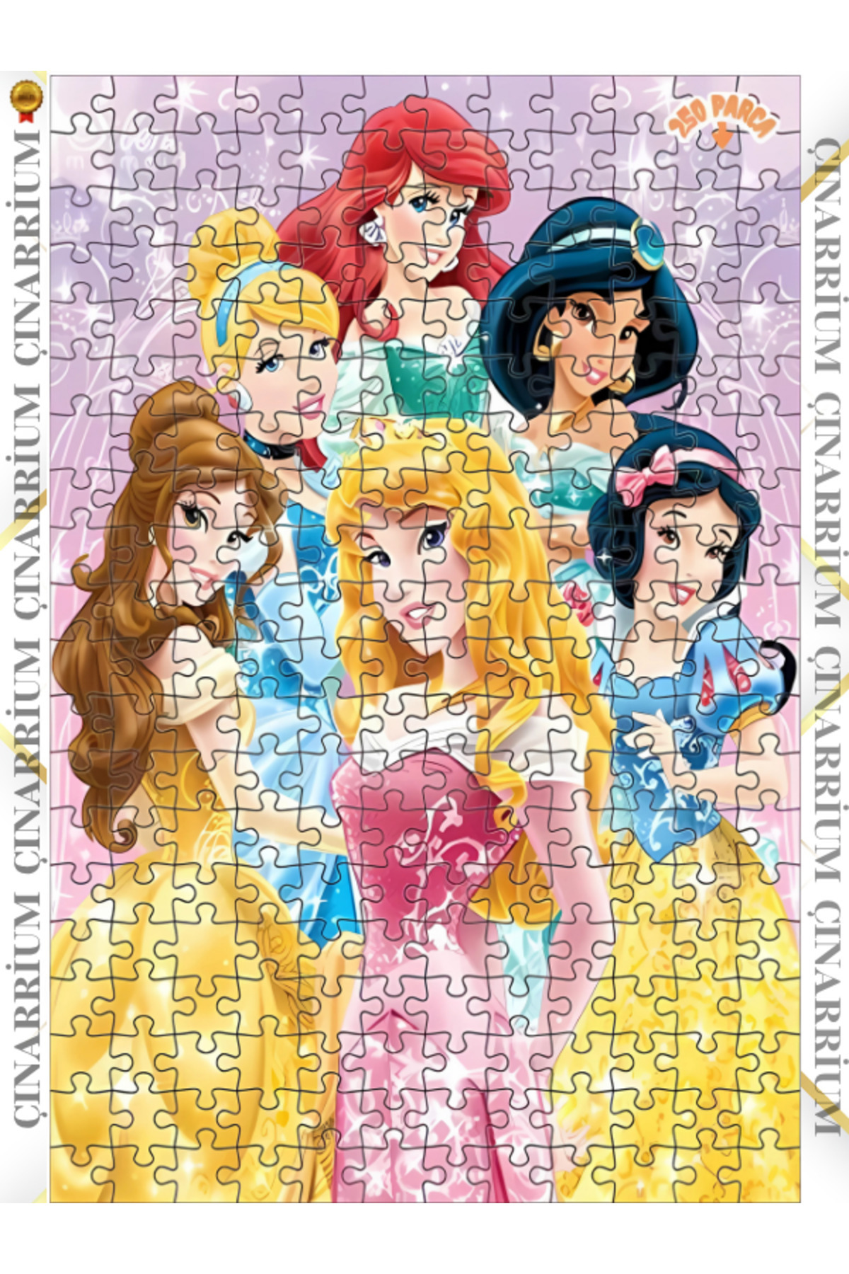 pınaxar Masalsı Prensesler Işıltısı Dekoratif Çift Katlı Çerçeveli Asılabilir Ahşap Puzzle 250 PARÇA 30X30