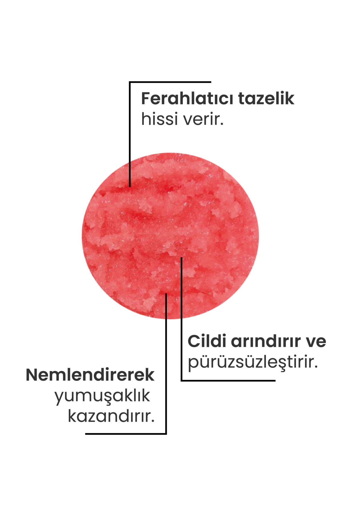 Karpuzlu Arındırıcı El, Ayak Ve Vücut Peelingi - Hindistan Cevizi El, Ayak Ve Vücut Peelingi — SSMCS22 — تصویر 6 از 8
