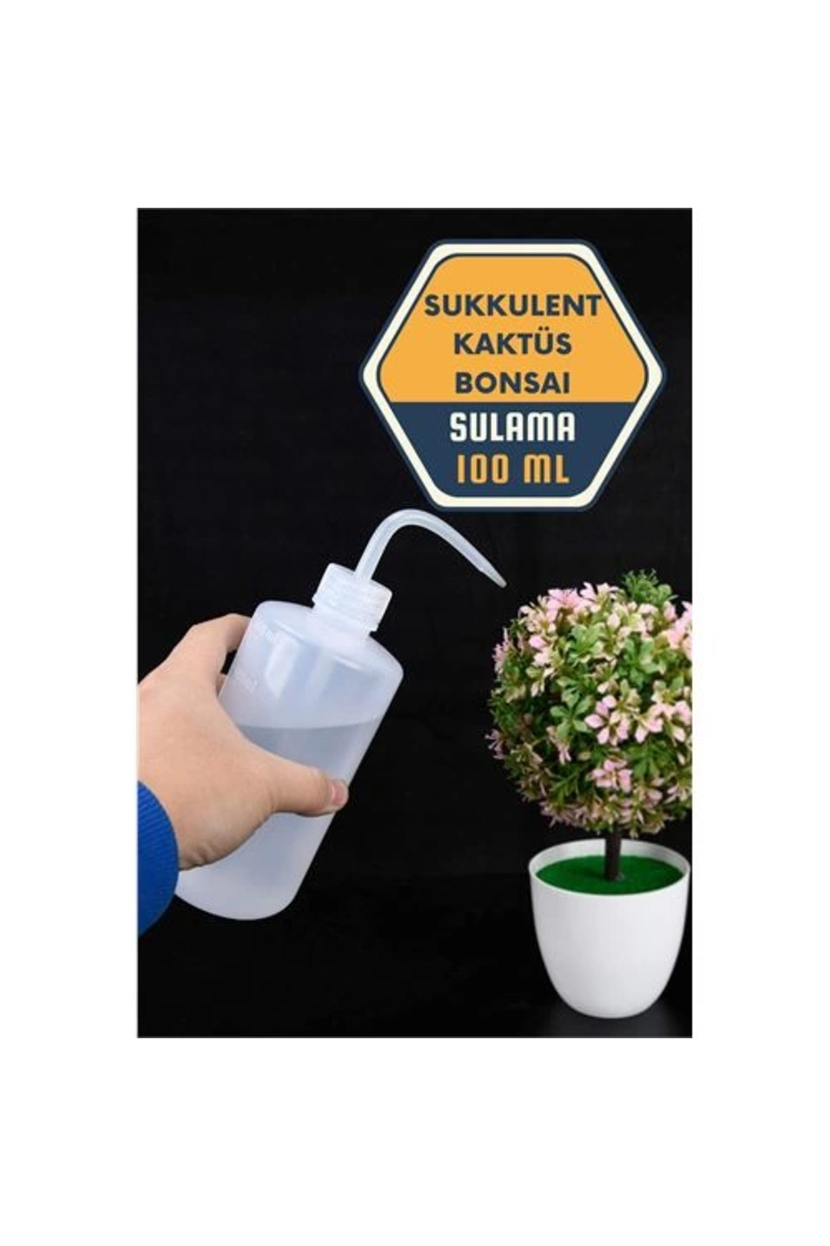 Belle Fusion BFS Sukkulent Kaktüs Bonsai Sulama Şişesi