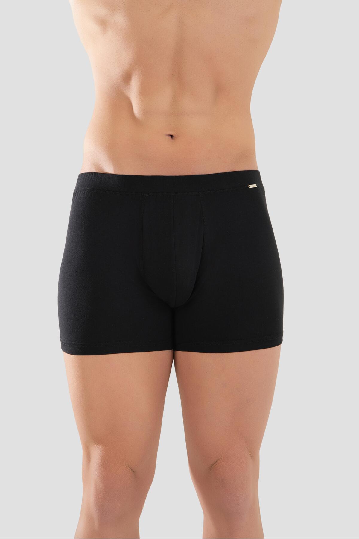 BAYKAR Erkek Mikro Modal Elestan Basic Boxer 1402 Siyah görsel 3