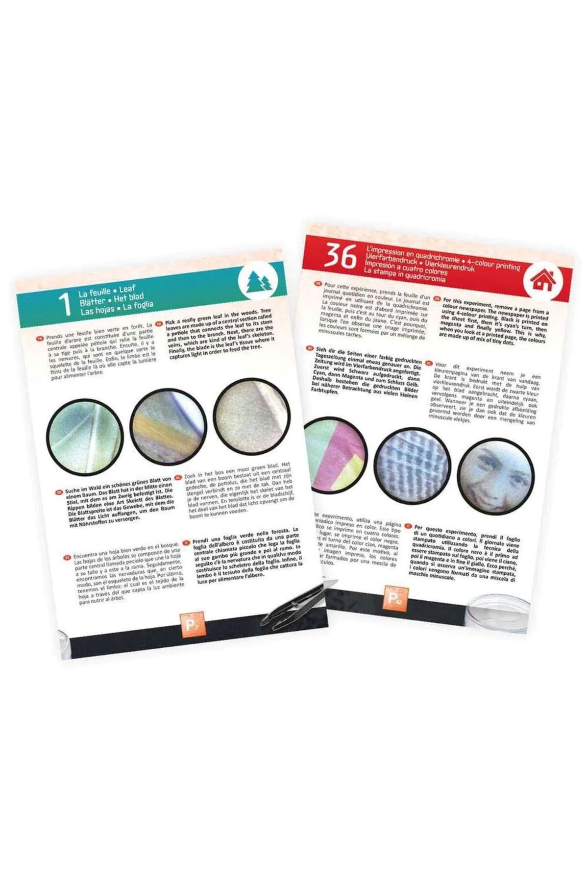 میکروسکوپ دوچشمی