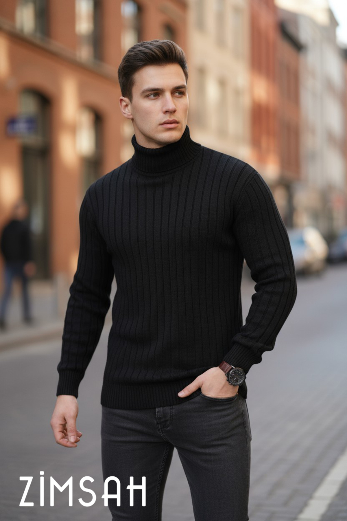 Zimsah Erkek Slim Fit Triko Kazak görsel 3