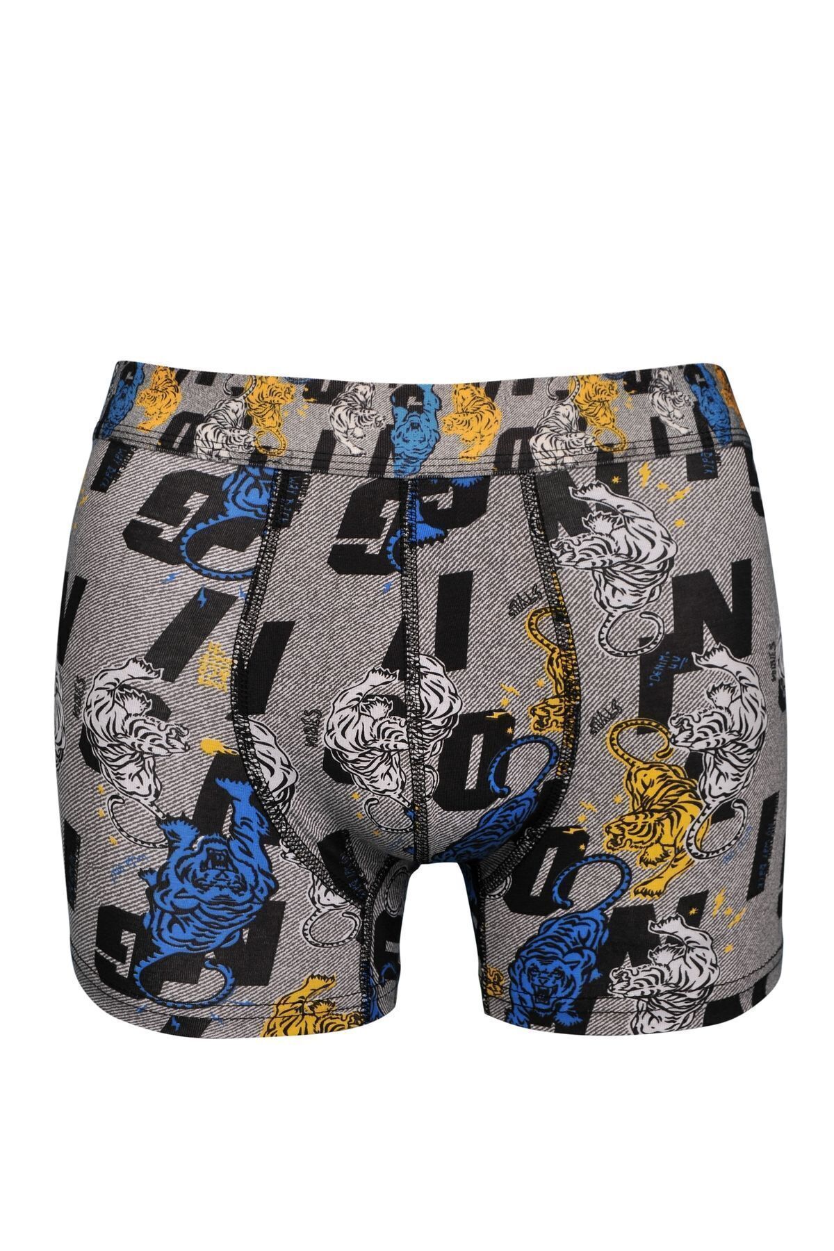 donset Erkek Desenli Boxer - 6'lı Bel Lastiği Kumaş İle Aynı Özel Paketinde görsel 4