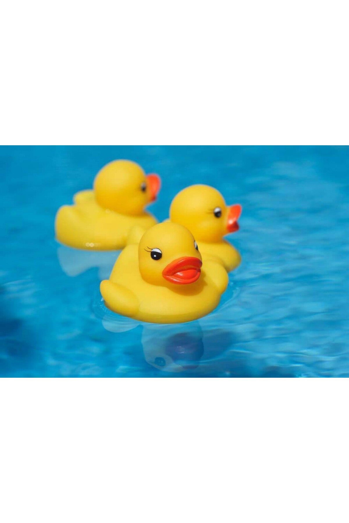 Brother Toys 6 Adet Ses Çıkaran Vinil Ördek Banyo Oyuncağı Sevimli Ördekler 5 Cm. fotoğrafı 2 (önizleme)