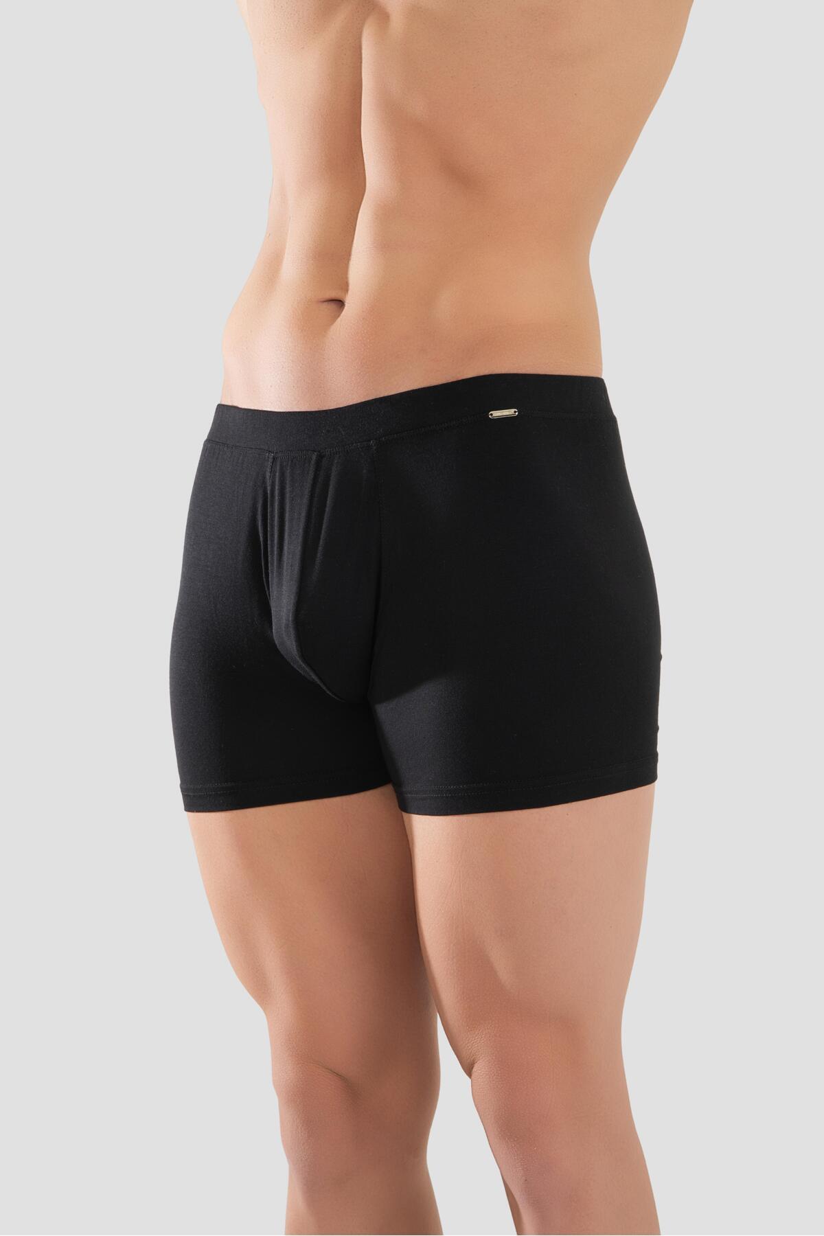 BAYKAR Erkek Mikro Modal Elestan Basic Boxer 1402 Siyah görsel 4