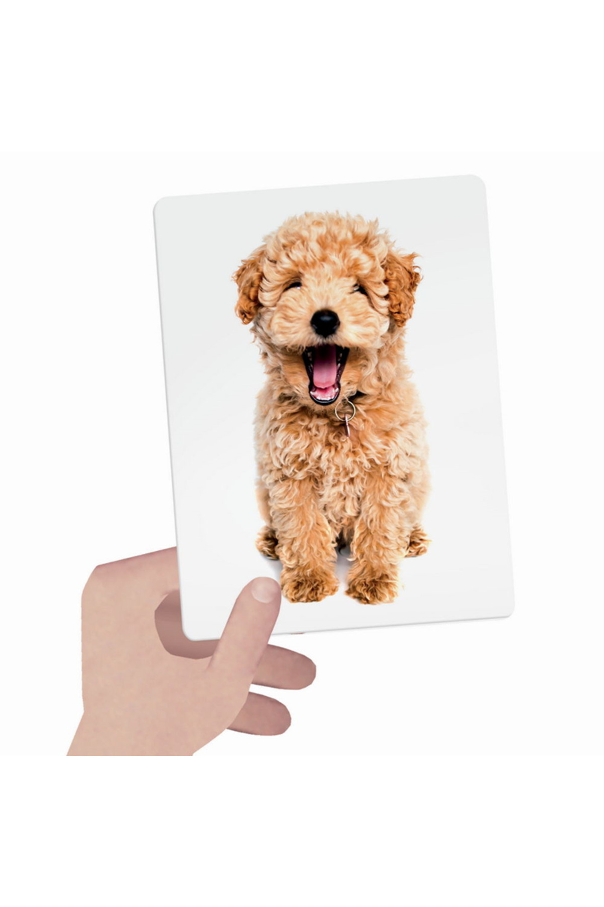 Headu Montessori - Dokunsal Kart fotoğrafı 2 (önizleme)