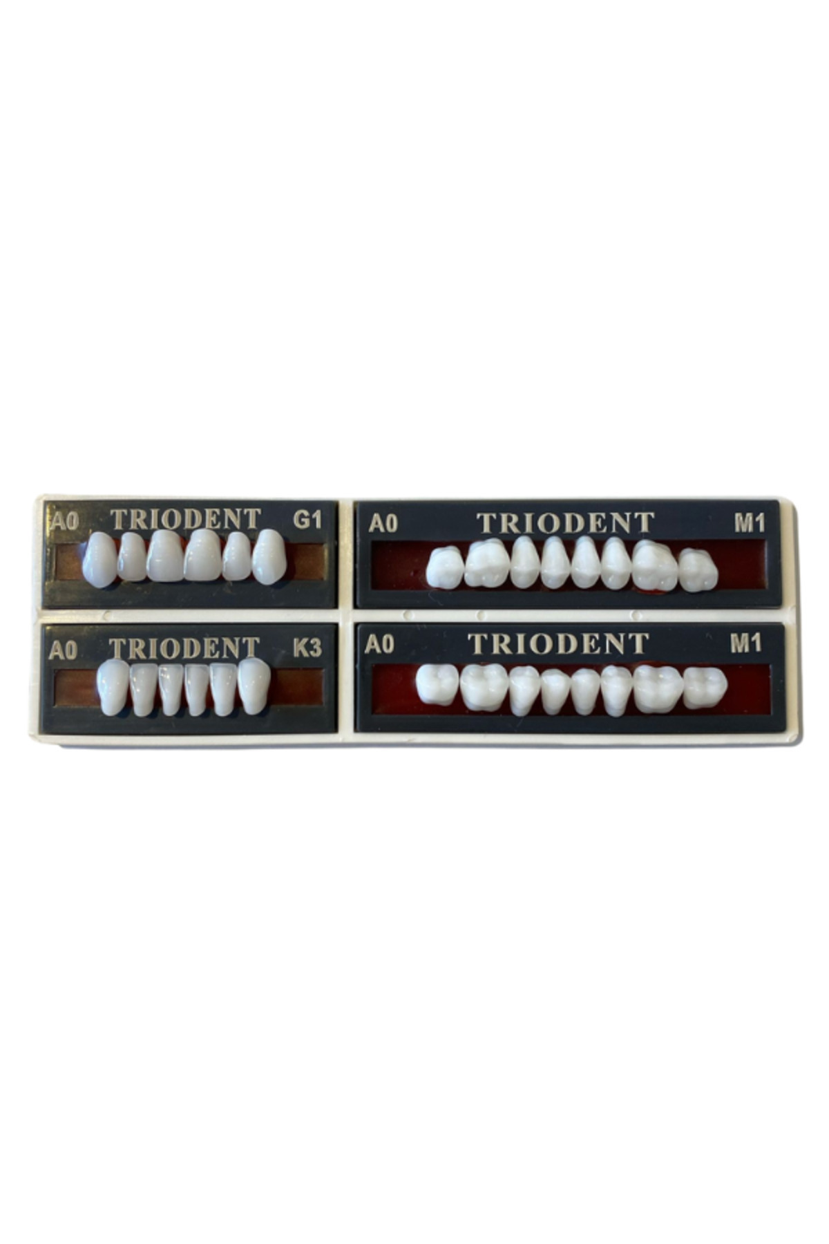Triodent Container Ditok Dental TRIODENT 28 lik Takım Diş ( A0 - M1 ) - Fiyatı, Yorumları