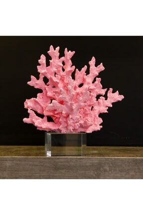 Ev Dekorasyon Kristal Kaideli Mercan Pembe 25 Cm BR-170