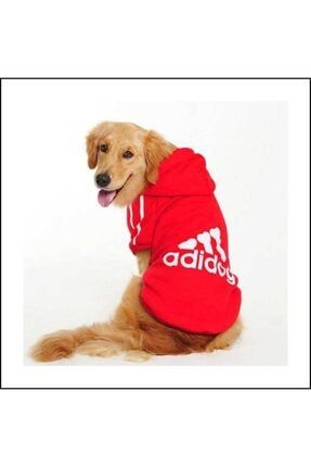 Kırmızı Kapşonlu Adidog Sweatshirt Büyük Irklar Için 9xl ( 35 - 40 Kg ) ADIDOG BIG RED 001
