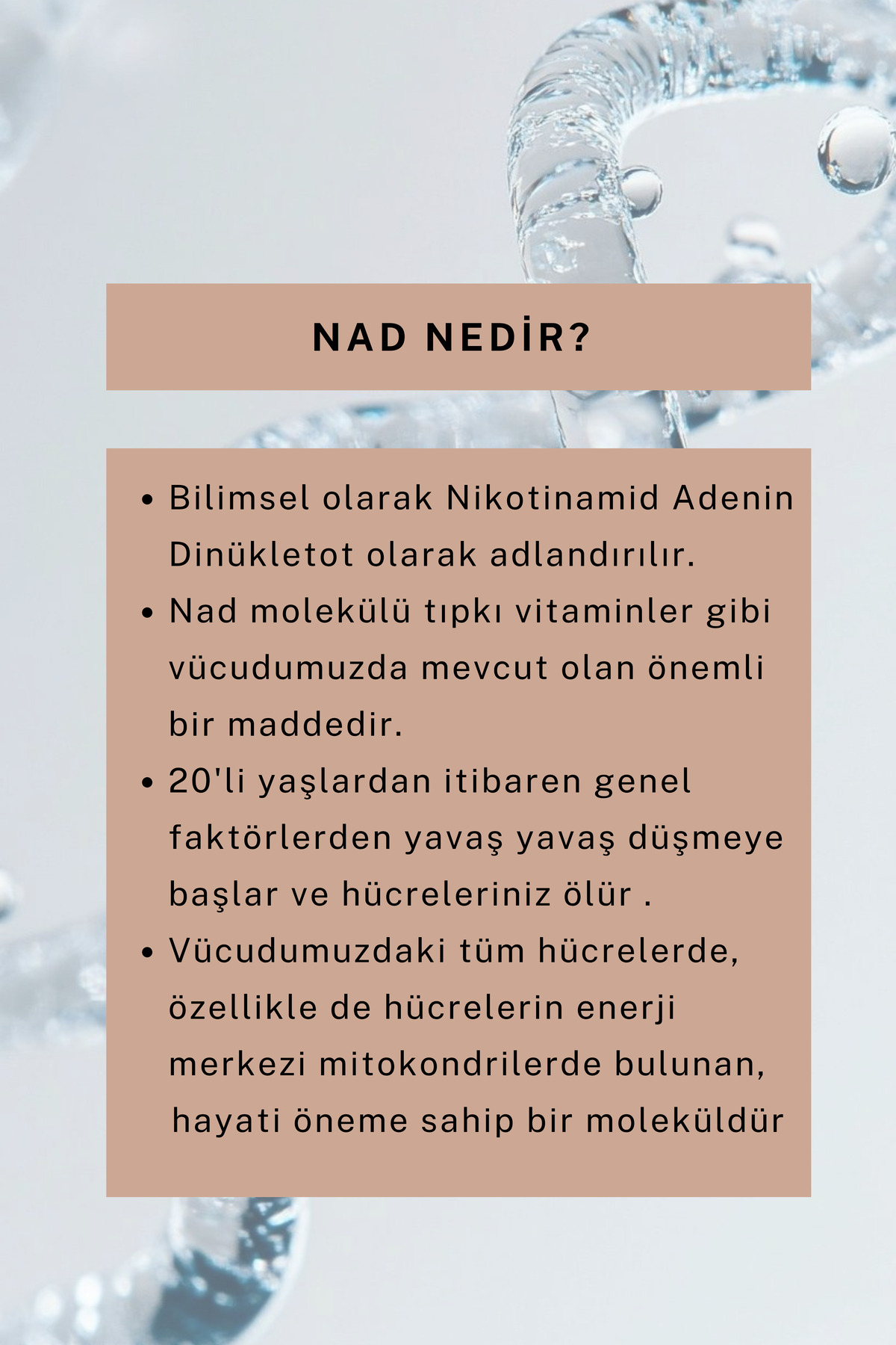 Leke Karşıtı Serum Cilt Tonu Eşitleyici Nemlendirici 30 ml ( Arbutin, Niacinamide, NAD+ ) — DN0009 — تصویر 5 از 7