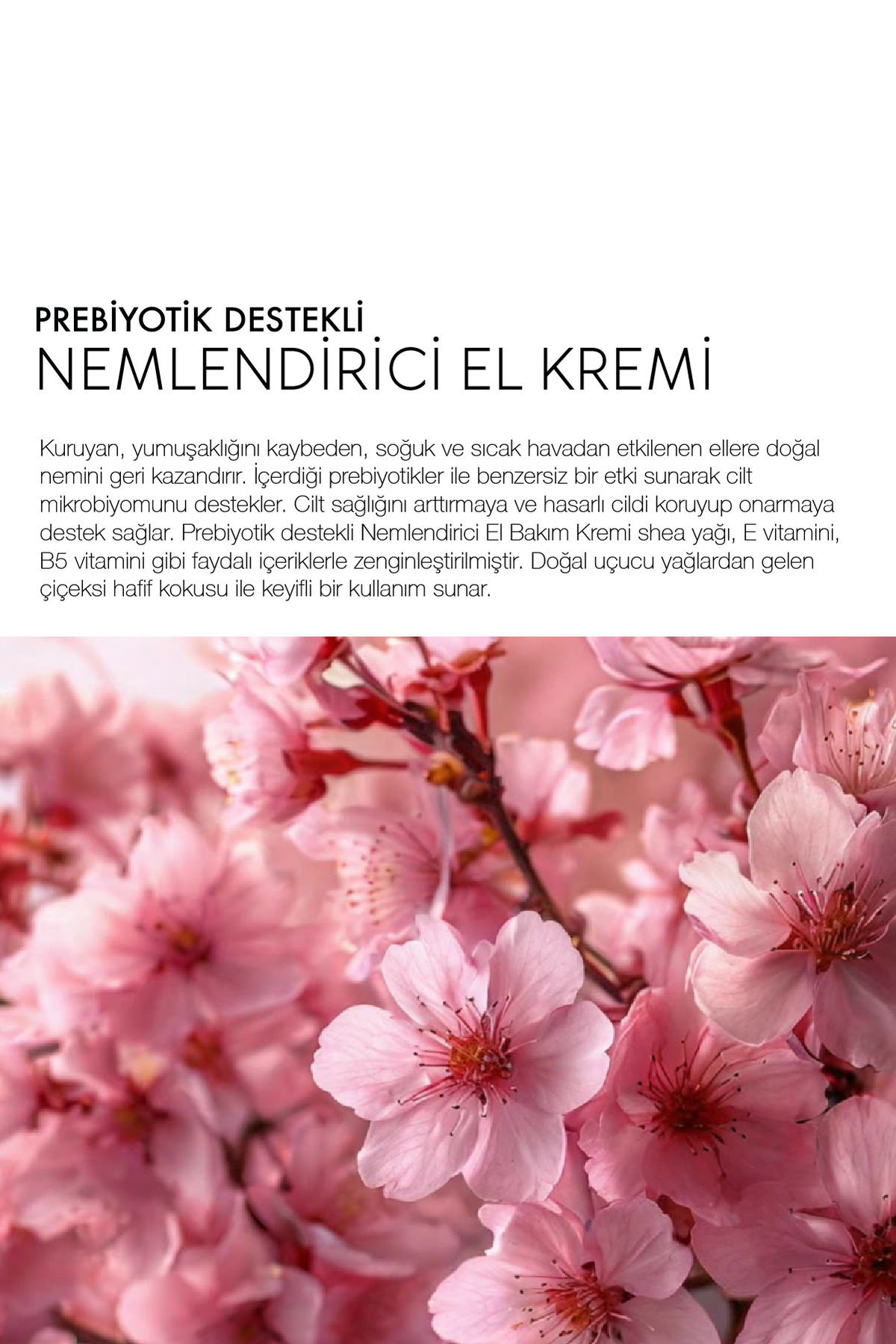 Nemlendirici El Kremi - Prebiyotik Destekli (50 ML) — Doğal El Kremi — تصویر 3 از 5