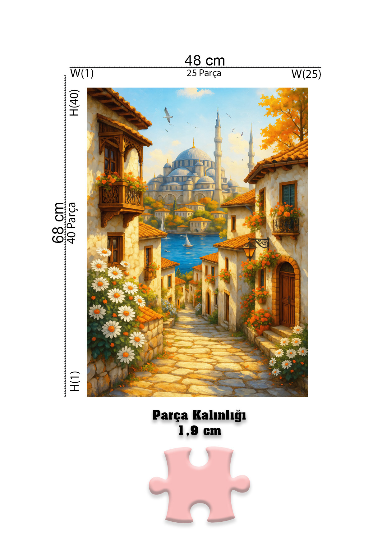 Neverland 1000 Parça Puzzle - Old Istanbul Street (Eski İstanbul