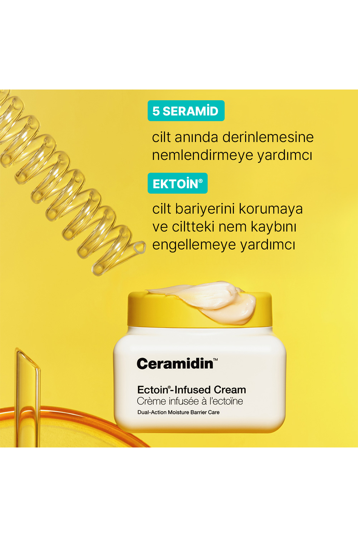 Ceramidin - Ektoin İçerikli Nemlendirici Krem 50ML/1.7FLOZ — H72C01 — تصویر 5 از 8