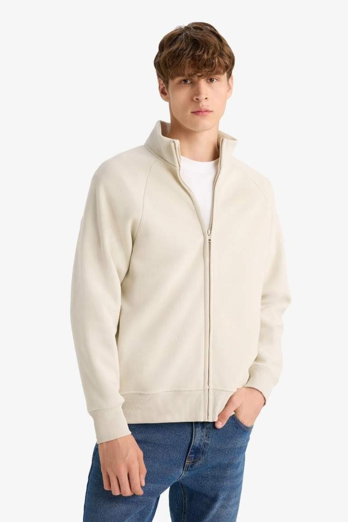 DeFacto Boxy Fit Dik Yaka Baskılı İçi Yumuşak Tüylü Cepli Fermuarlı Sweatshirt E1367AX25SP görsel 3