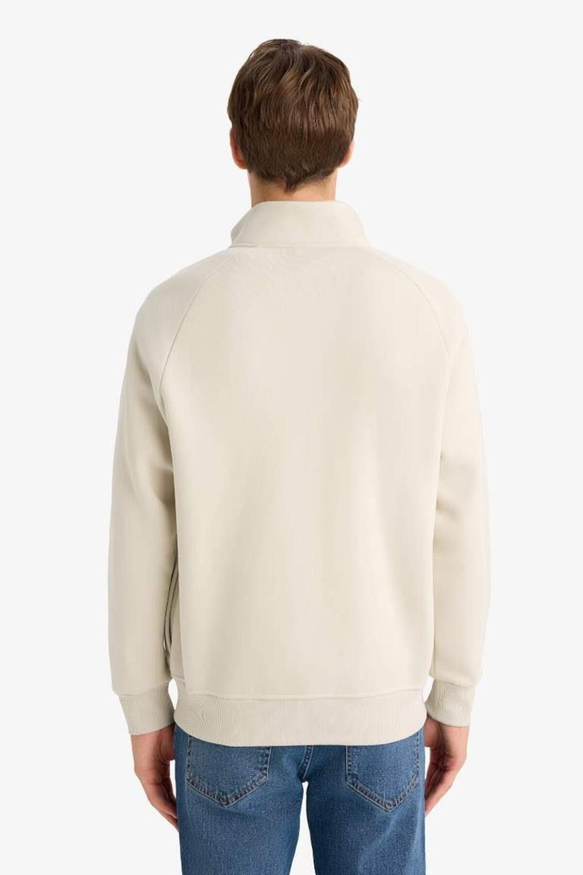 DeFacto Boxy Fit Dik Yaka Baskılı İçi Yumuşak Tüylü Cepli Fermuarlı Sweatshirt E1367AX25SP görsel 6