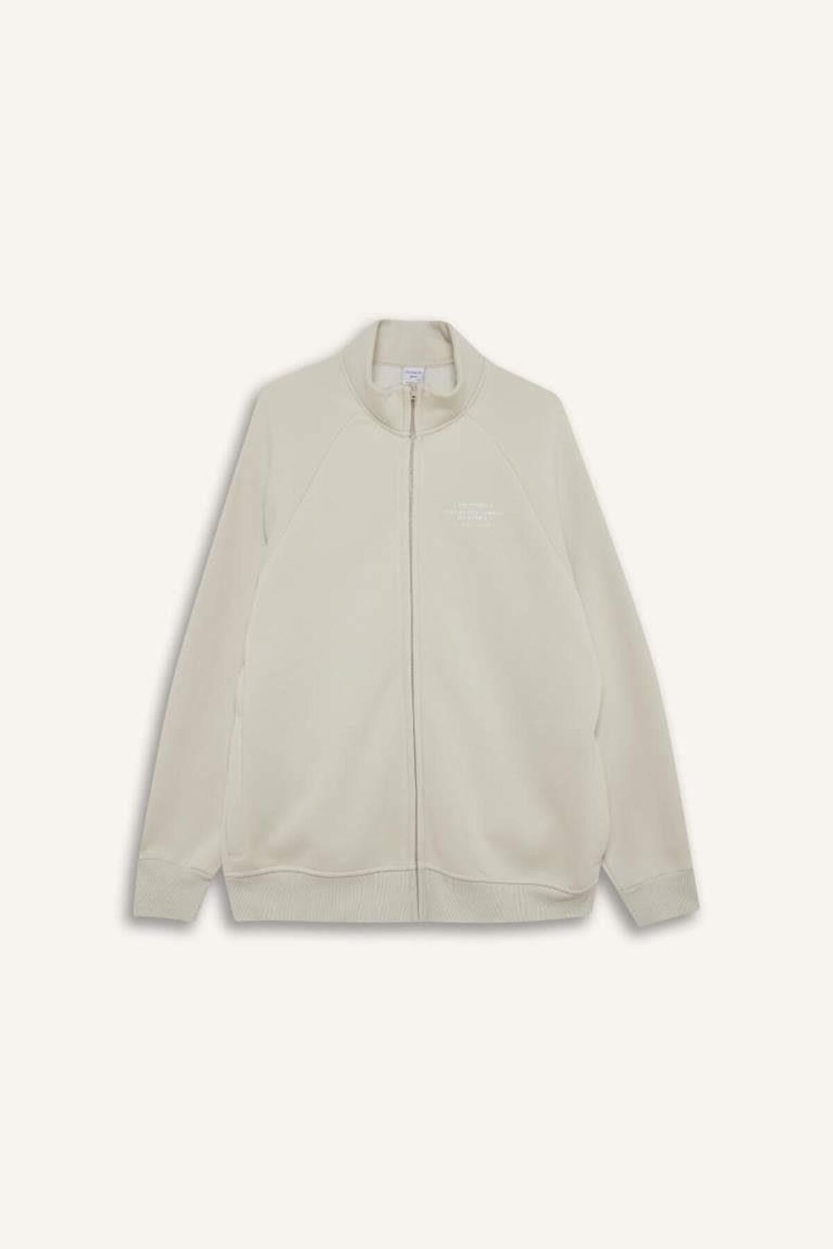 DeFacto Boxy Fit Dik Yaka Baskılı İçi Yumuşak Tüylü Cepli Fermuarlı Sweatshirt E1367AX25SP görsel 7