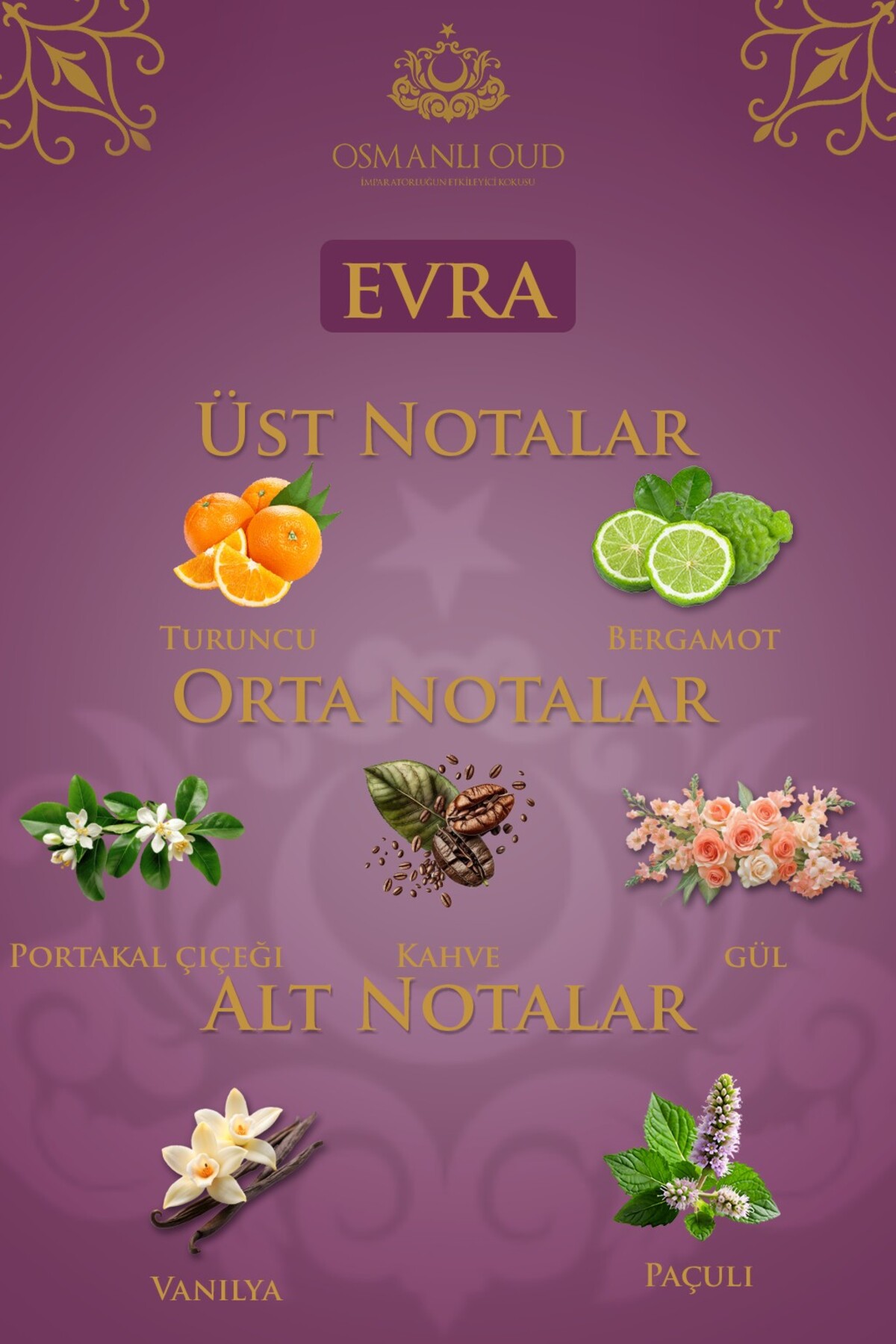 عطر زنانه | عثمانلی عود Osmanlı Oud 4430 - تصویر 6